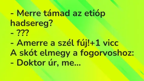 Vicc: – Merre támad az etióp hadsereg?
– ???
– Amerre a szél fúj! Vicc: – Merre támad az etióp hadsereg?
– ???
– Amerre a szél fúj!