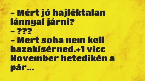 Vicc: – Mért jó hajléktalan lánnyal járni?

– ???

– Mert soha nem…