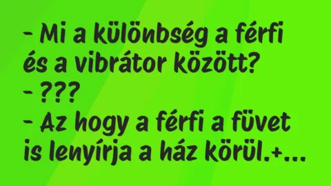 Vicc: – Mi a különbség a férfi és a vibrátor között?

– ???

– Az…