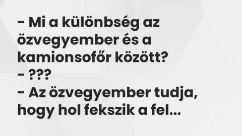 Vicc: – Mi a különbség az özvegyember és a kamionsofőr között?

-…