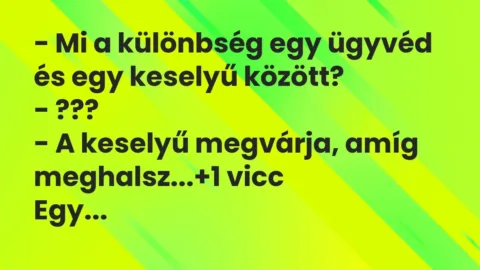Vicc: – Mi a különbség egy ügyvéd és egy keselyű között?

– ???

– A…