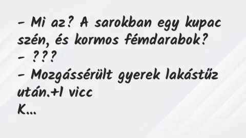 Vicc: – Mi az? A sarokban egy kupac szén, és kormos fémdarabok?
-… Vicc: – Mi az? A sarokban egy kupac szén, és kormos fémdarabok?
-…