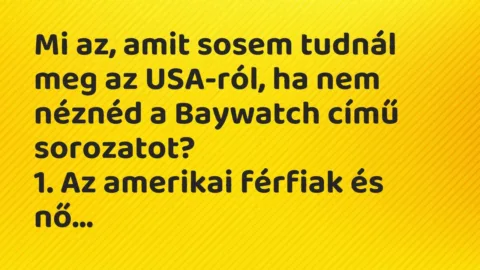 Vicc: Mi az, amit sosem tudnál meg az USA-ról, ha nem néznéd a Baywatch című…
