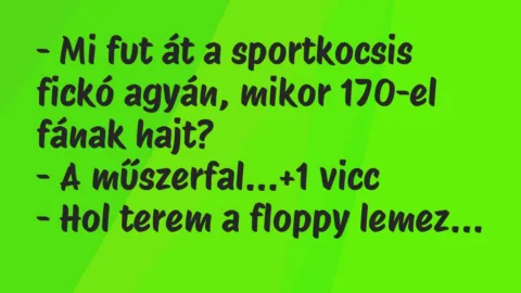 Vicc: – Mi fut át a sportkocsis fickó agyán, mikor 170-el fának hajt?

-…