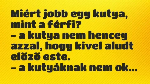 Vicc: Miért jobb egy kutya, mint a férfi?

– a kutya nem henceg azzal,…