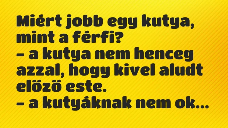 Vicc: Miért jobb egy kutya, mint a férfi? – a kutya nem henceg azzal,…