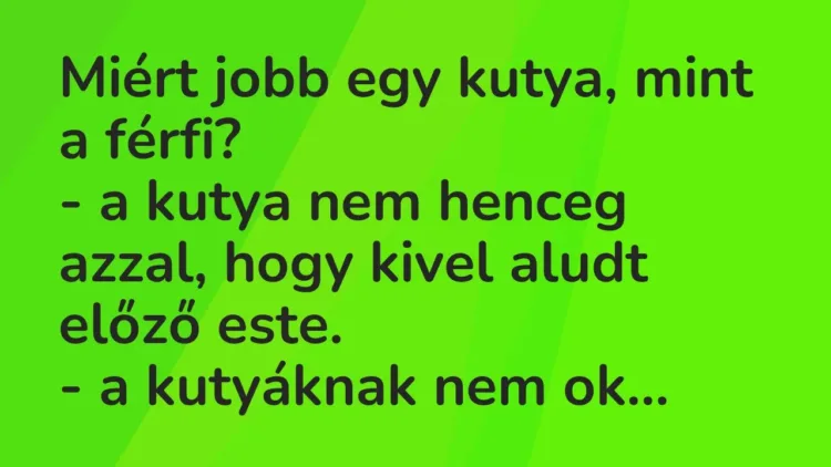Vicc: Miért jobb egy kutya, mint a férfi?
– a kutya nem henceg azzal,… Vicc: Miért jobb egy kutya, mint a férfi?
– a kutya nem henceg azzal,…