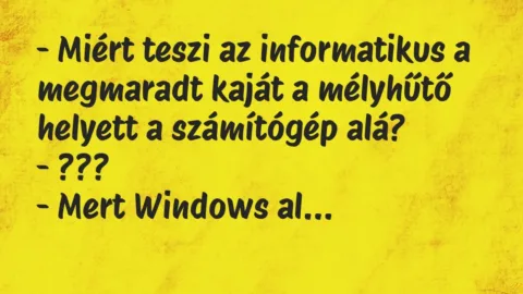 Vicc: – Miért teszi az informatikus a megmaradt kaját a mélyhűtő helyett a…