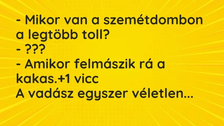 Vicc: – Mikor van a szemétdombon a legtöbb toll?
– ???
– Amikor… Vicc: – Mikor van a szemétdombon a legtöbb toll?
– ???
– Amikor…