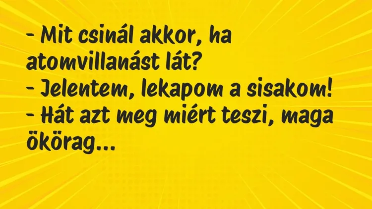 Vicc: – Mit csinál akkor, ha atomvillanást lát?
– Jelentem, lekapom a… Vicc: – Mit csinál akkor, ha atomvillanást lát?
– Jelentem, lekapom a…