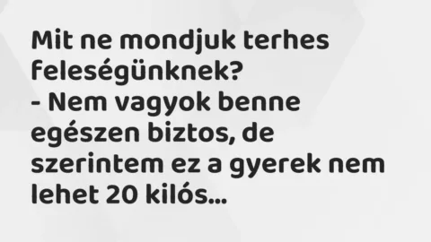 Vicc: Mit ne mondjuk terhes feleségünknek?
– Nem vagyok benne egészen… Vicc: Mit ne mondjuk terhes feleségünknek?
– Nem vagyok benne egészen…