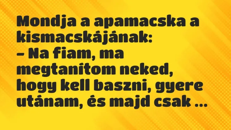 Vicc: Mondja a apamacska a kismacskájának:
– Na fiam, ma megtanítom… Vicc: Mondja a apamacska a kismacskájának:
– Na fiam, ma megtanítom…