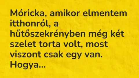 Vicc: Móricka, amikor elmentem itthonról, a hűtőszekrényben még két szelet…