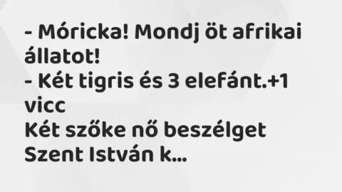 Vicc: – Móricka! Mondj öt afrikai állatot!

– Két tigris és 3 elefánt.
