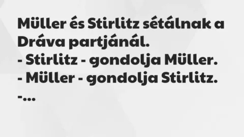 Vicc: Müller és Stirlitz sétálnak a Dráva partjánál.

– Stirlitz -…