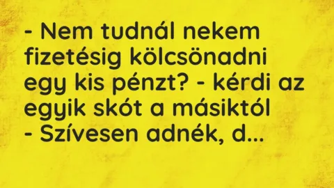 Vicc: – Nem tudnál nekem fizetésig kölcsönadni egy kis pénzt? – kérdi az egy…