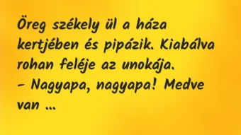 Vicc: Öreg székely ül a háza kertjében és pipázik. Kiabálva rohan feléje az…