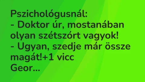 Vicc: Pszichológusnál:

– Doktor úr, mostanában olyan szétszórt…