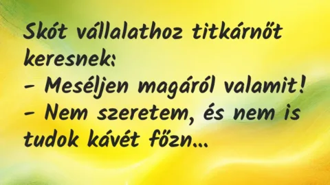 Vicc: Skót vállalathoz titkárnőt keresnek:

– Meséljen magáról…