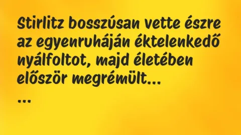 Vicc: Stirlitz bosszúsan vette észre az egyenruháján éktelenkedő nyálfoltot,… Vicc: Stirlitz bosszúsan vette észre az egyenruháján éktelenkedő nyálfoltot,…