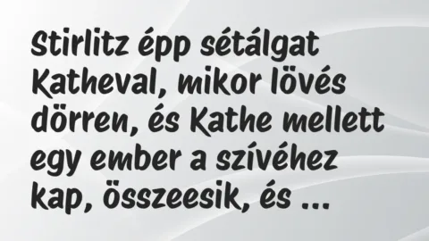 Vicc: Stirlitz épp sétálgat Katheval, mikor lövés dörren, és Kathe mellett… Vicc: Stirlitz épp sétálgat Katheval, mikor lövés dörren, és Kathe mellett…