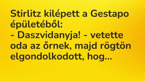 Vicc: Stirlitz kilépett a Gestapo épületéből:
– Daszvidanyja! – vetette… Vicc: Stirlitz kilépett a Gestapo épületéből:
– Daszvidanyja! – vetette…