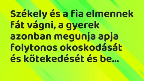 Vicc: Székely és a fia elmennek fát vágni, a gyerek azonban megunja apja…