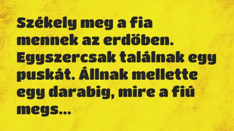 Vicc: Székely meg a fia mennek az erdőben. Egyszercsak találnak egy puskát…. Vicc: Székely meg a fia mennek az erdőben. Egyszercsak találnak egy puskát….