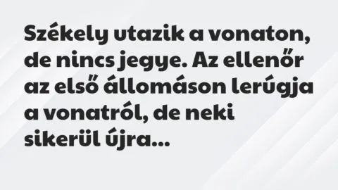 Vicc: Székely utazik a vonaton, de nincs jegye. Az ellenőr az első állomáson…