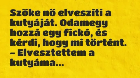 Vicc: Szőke nő elveszíti a kutyáját. Odamegy hozzá egy fickó, és kérdi, hogy…