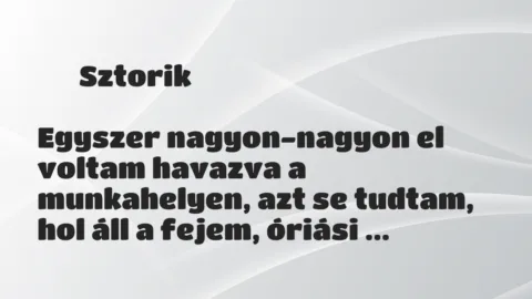 Vicc: 
	    	    Sztorik


Egyszer nagyon-nagyon el voltam havazva a…