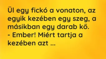 Vicc: Ül egy fickó a vonaton, az egyik kezében egy szeg, a másikban egy… Vicc: Ül egy fickó a vonaton, az egyik kezében egy szeg, a másikban egy…