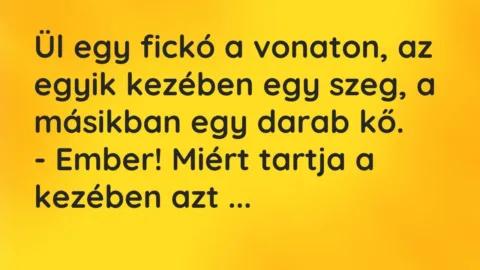 Vicc: Ül egy fickó a vonaton, az egyik kezében egy szeg, a másikban egy…