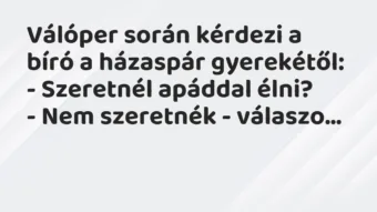 Vicc: Válóper során kérdezi a bíró a házaspár gyerekétől: – Szeretnél a…