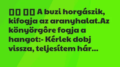 Viccek:
A buzi horgászik, kifogja az aranyhalat.Az… Viccek:
A buzi horgászik, kifogja az aranyhalat.Az…