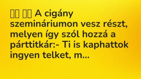 Viccek:
A cigány szemináriumon vesz részt, melyen így… Viccek:
A cigány szemináriumon vesz részt, melyen így…