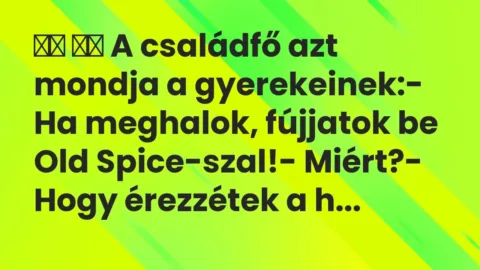 Viccek: 
		  
		  A családfő azt mondja a gyerekeinek:- Ha…