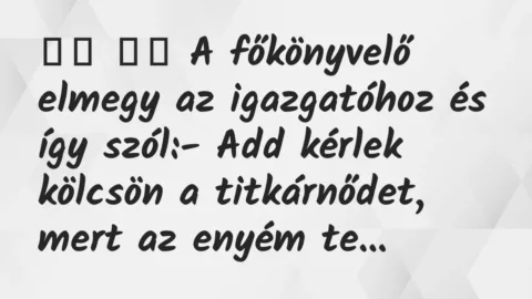 Viccek: 
		  
		  A főkönyvelő elmegy az igazgatóhoz és így…
