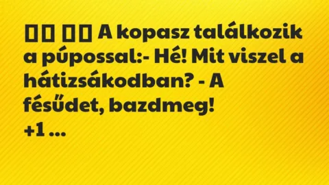 Viccek:
A kopasz találkozik a púpossal:- Hé! Mit… Viccek:
A kopasz találkozik a púpossal:- Hé! Mit…