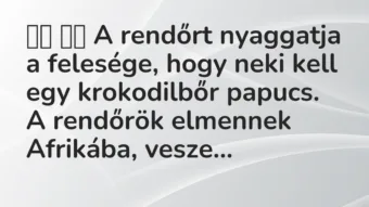 Viccek: A rendőrt nyaggatja a felesége, hogy neki kell…