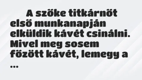 Viccek: 
		  
		  A szőke titkárnőt első munkanapján elküldik kávét…
