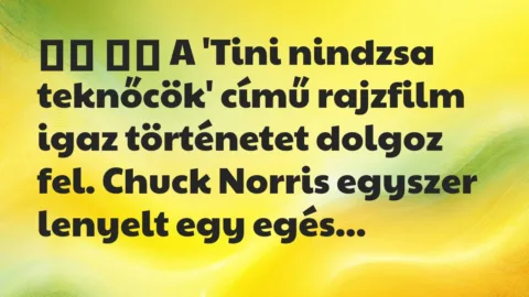 Viccek:
A ‘Tini nindzsa teknőcök’ című rajzfilm igaz… Viccek:
A ‘Tini nindzsa teknőcök’ című rajzfilm igaz…