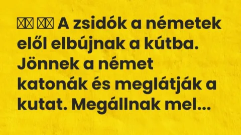 Viccek:
A zsidók a németek elől elbújnak a kútba. Jönnek … Viccek:
A zsidók a németek elől elbújnak a kútba. Jönnek …