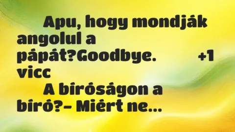 Viccek: 
		  
		  Apu, hogy mondják angolul a…
