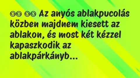 Viccek: 
		  
		  Az anyós ablakpucolás közben majdnem kiesett az…