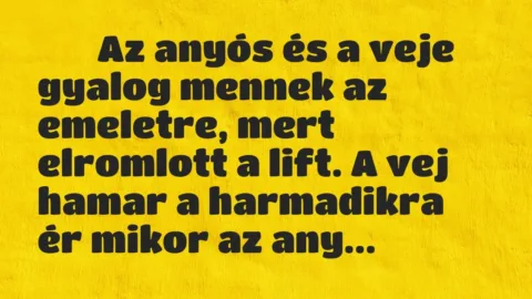 Viccek: 
		  
		  Az anyós és a veje gyalog mennek az emeletre,…