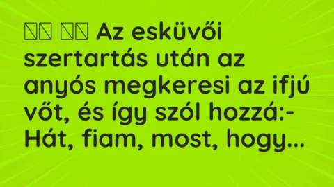 Viccek: 
		  
		  Az esküvői szertartás után az anyós megkeresi az …