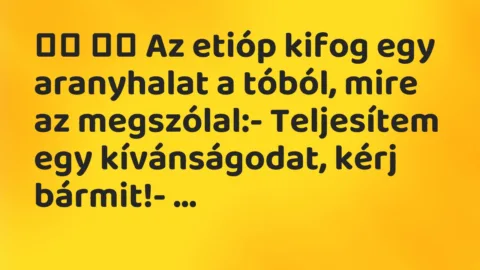Viccek: 
		  
		  Az etióp kifog egy aranyhalat a tóból, mire az…