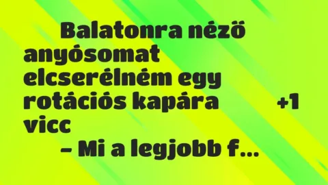 Viccek: 
		  
		  Balatonra néző anyósomat elcserélném egy rotációs…
