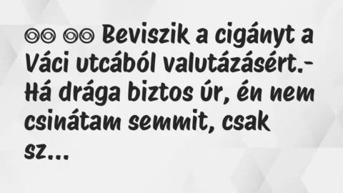 Viccek: 
		  
		  Beviszik a cigányt a Váci utcából…